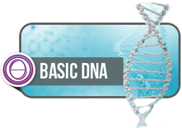 ThetaHealing Basic DNA